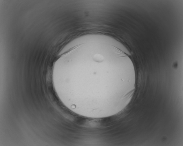 X0000115820078200912241944