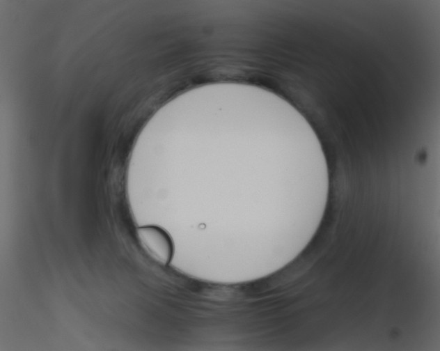 X0000115820079200912241944