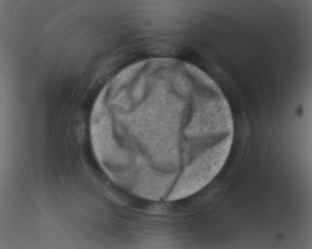 X0000115820080200912241944