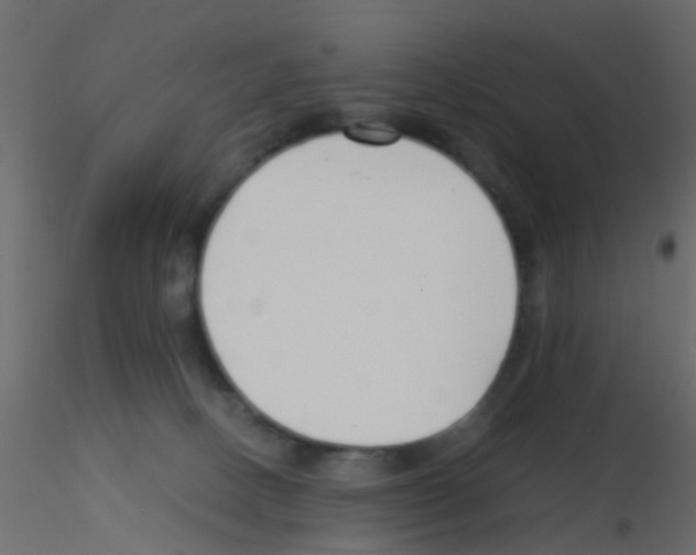 X0000115820082200912241944