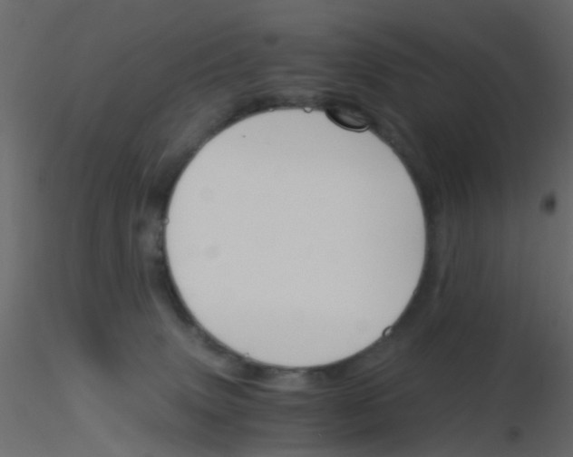 X0000115820083200912241944