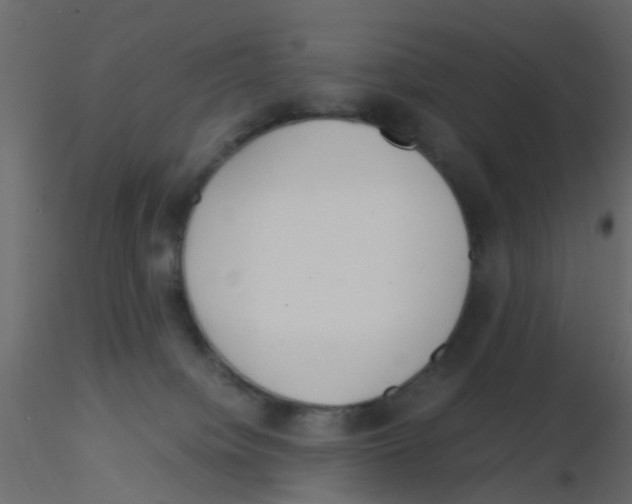 X0000115820084200912241944