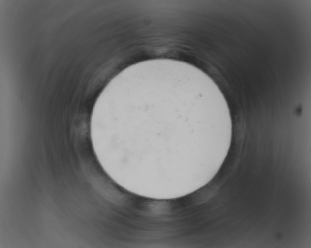 X0000115820085200912241944