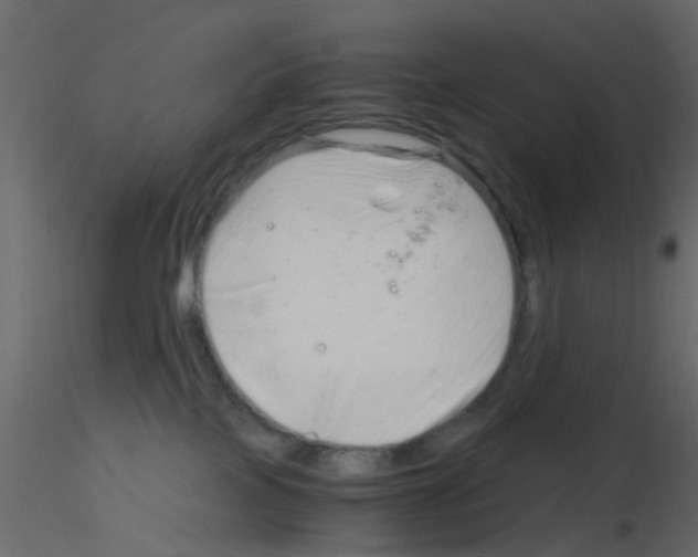 X0000115820089200912241944