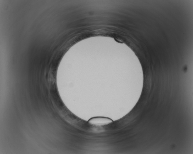 X0000115820091200912241944