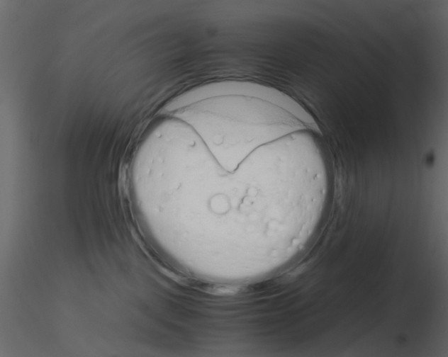 X0000115820093200912241944