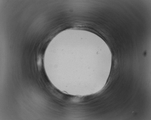 X0000115820094200912241944