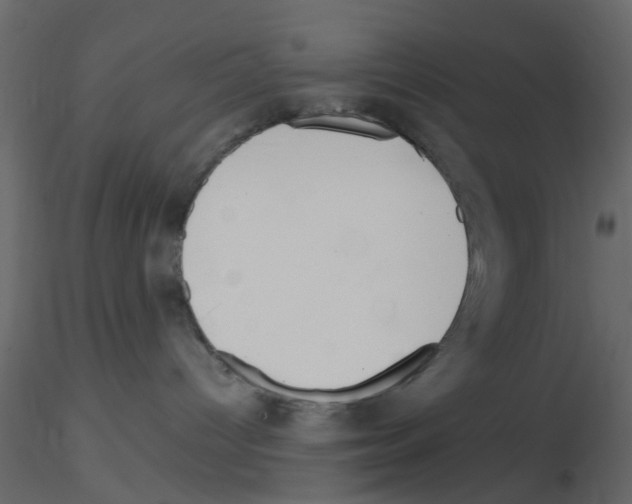 X0000115820096200912241944