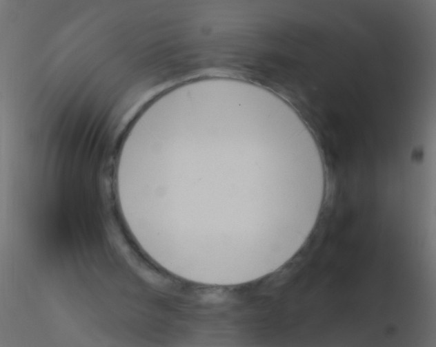 X0000115820098200912241943