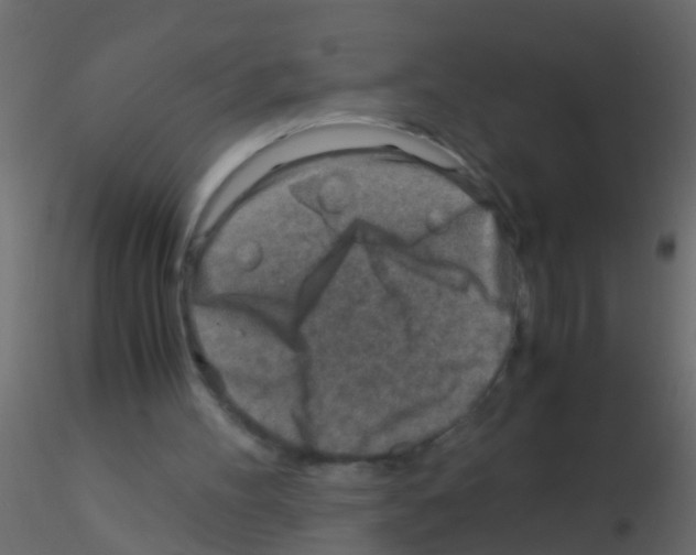 X0000115820100200912241943