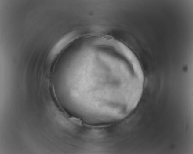 X0000115820101200912241943