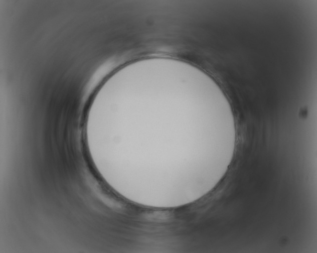 X0000115820102200912241943