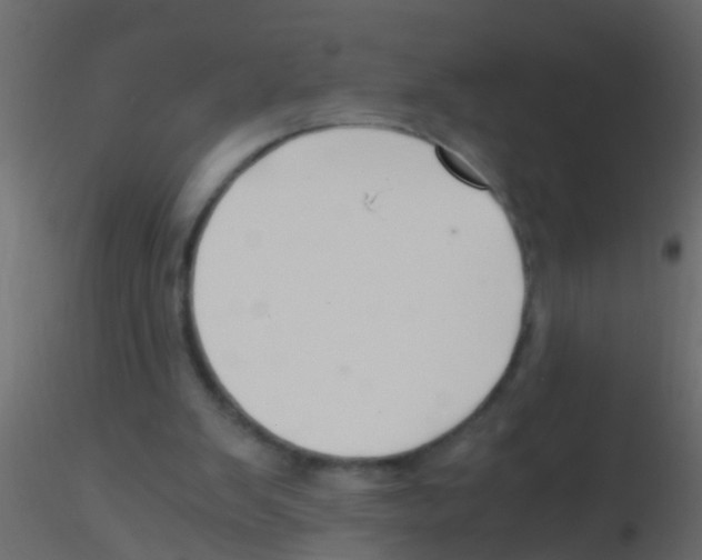 X0000115820103200912241943