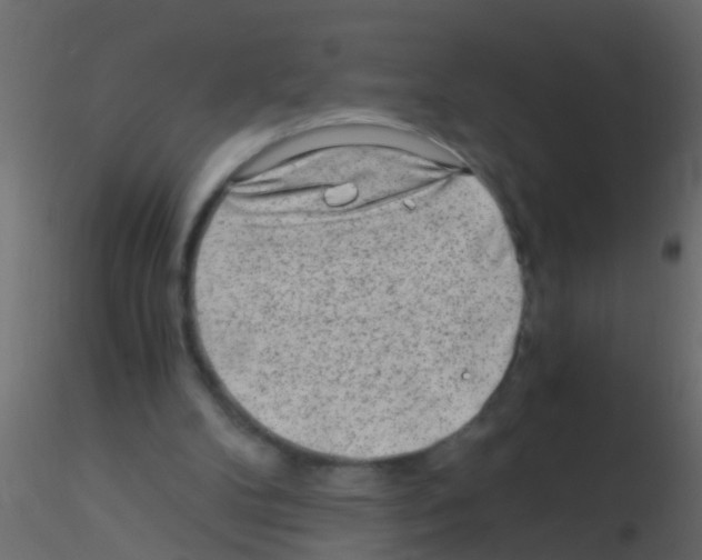 X0000115820104200912241943