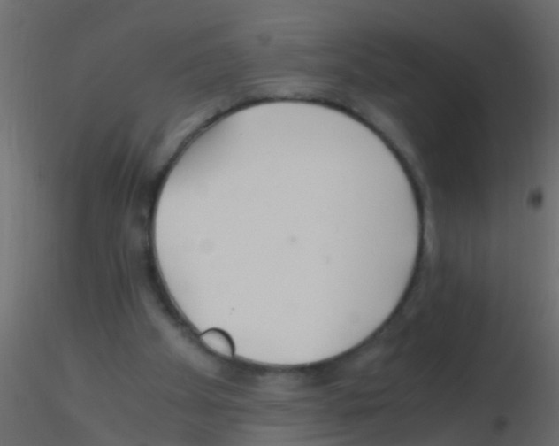 X0000115820105200912241943