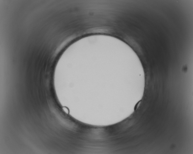 X0000115820108200912241943