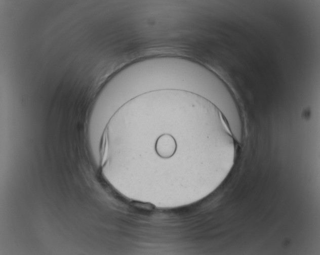 X0000115820109200912241943