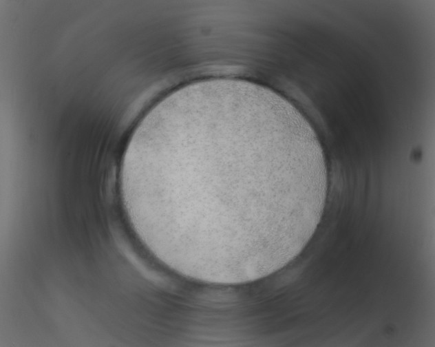 X0000115820110200912241943