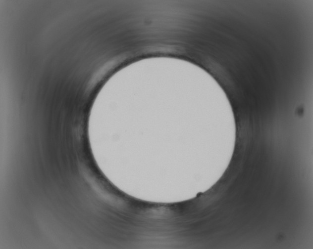 X0000115820112200912241943