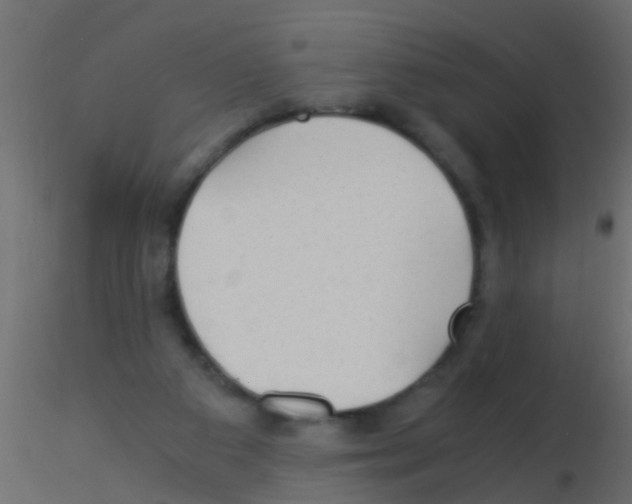 X0000115820113200912241943