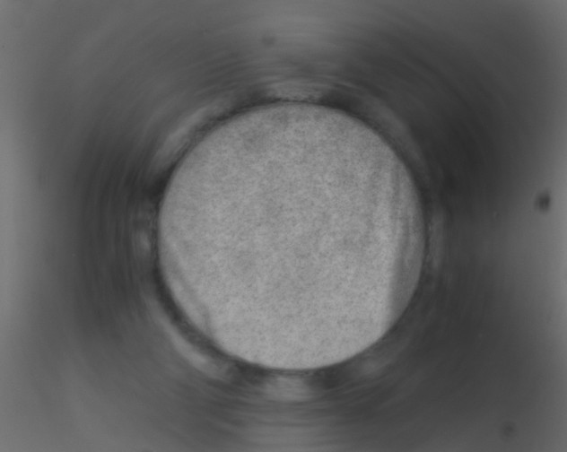 X0000115820114200912241943