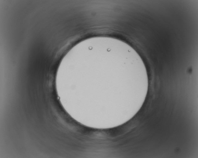 X0000115820115200912241943