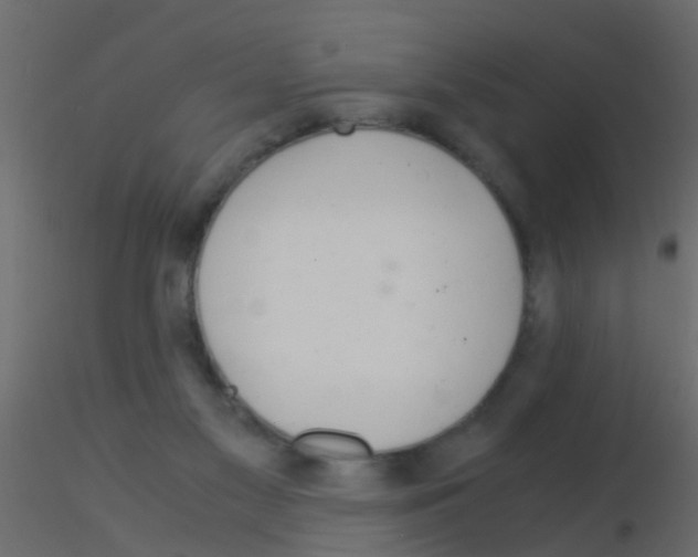 X0000115820117200912241943