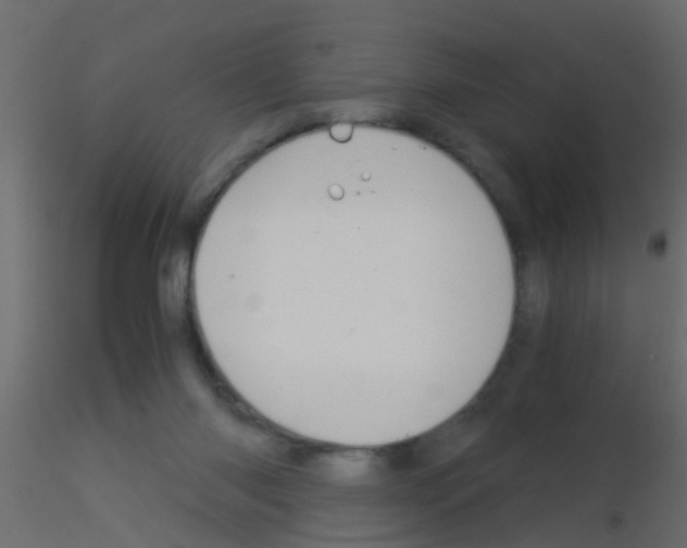 X0000115820118200912241943