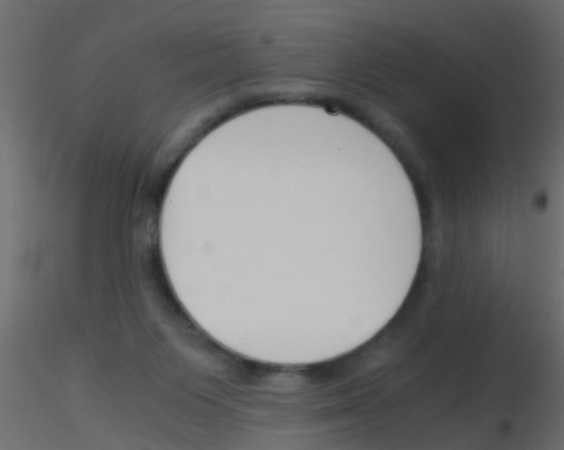 X0000115820119200912241943