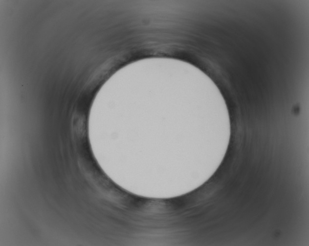 X0000115820123200912241943