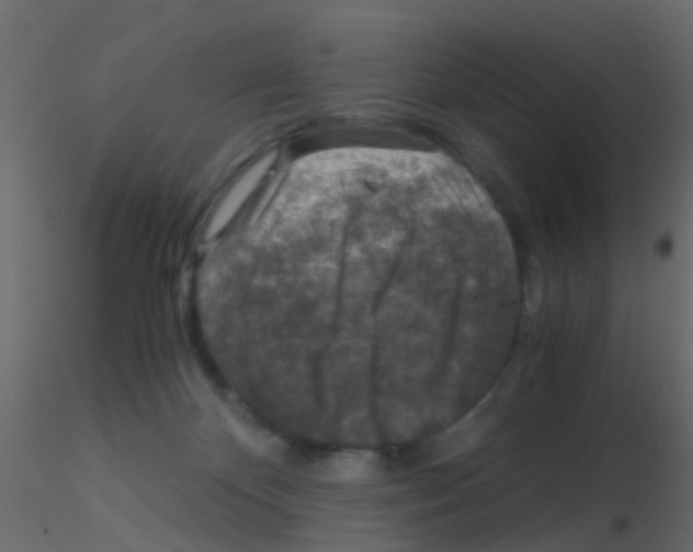 X0000115820124200912241943