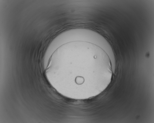 X0000115820125200912241943