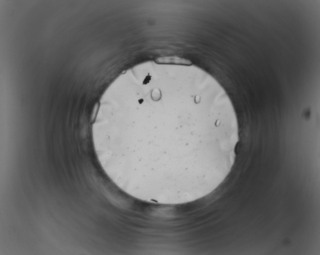 X0000115820132200912241943