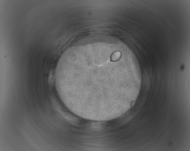 X0000115820134200912241943