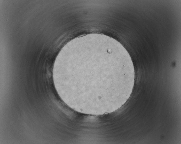 X0000115820140200912241943