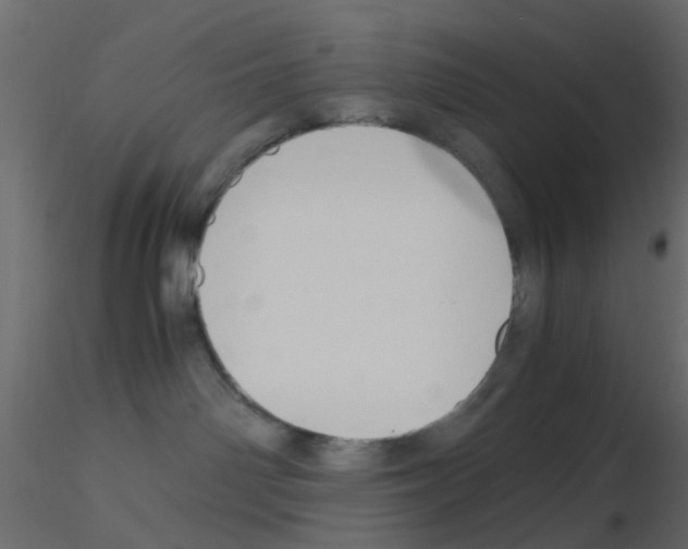 X0000115820142200912241943