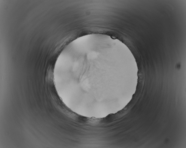 X0000115820143200912241943