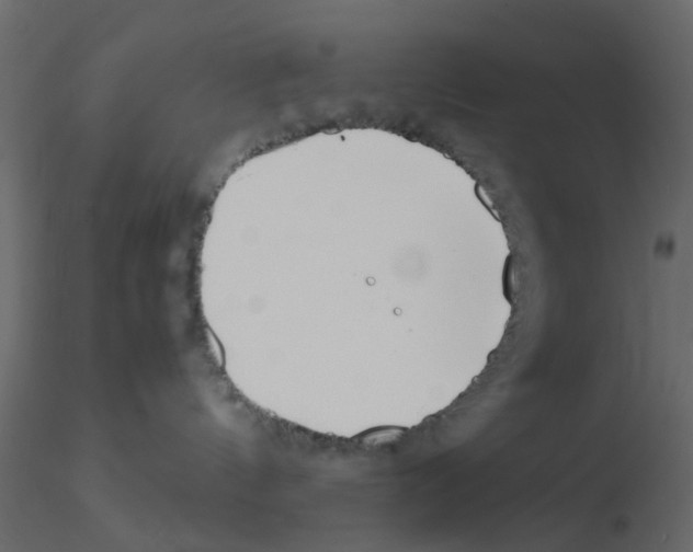 X0000115820144200912241943