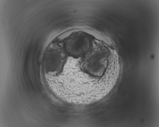 X0000115820145200912241942