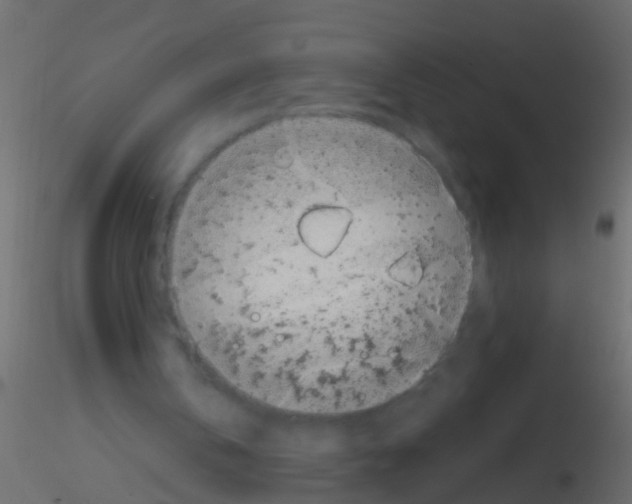 X0000115820146200912241942