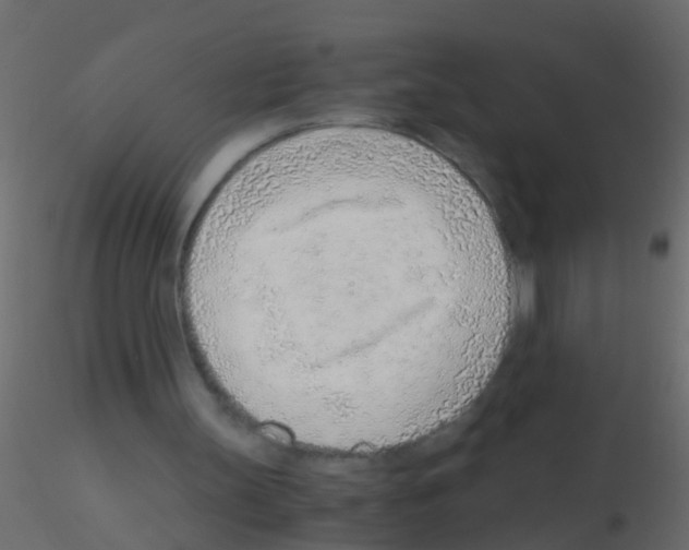 X0000115820147200912241942