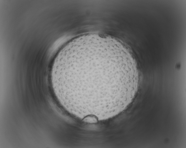 X0000115820149200912241942