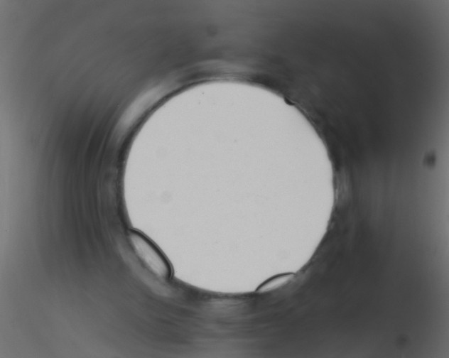 X0000115820150200912241942