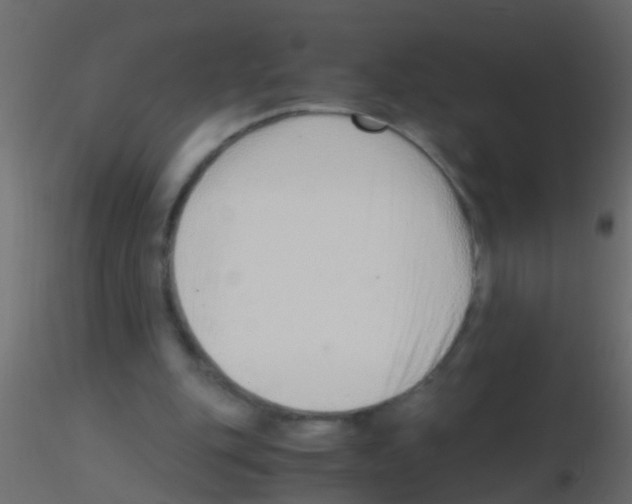 X0000115820151200912241942