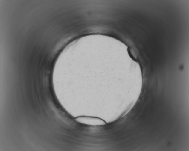 X0000115820154200912241942