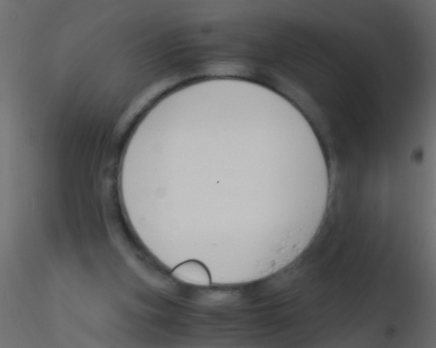 X0000115820155200912241942