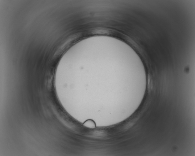 X0000115820157200912241942