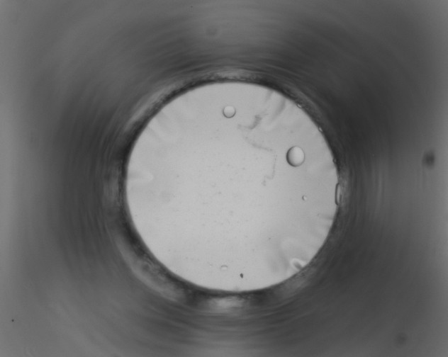 X0000115820158200912241942