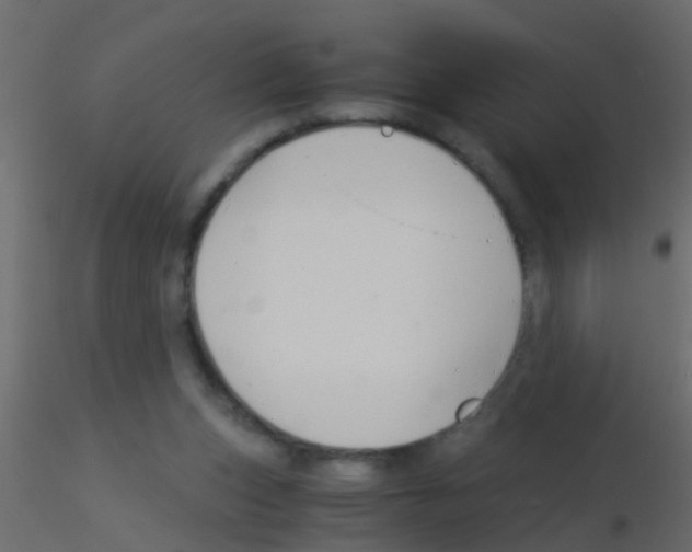 X0000115820159200912241942