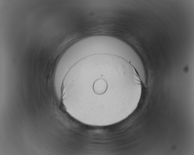 X0000115820161200912241942